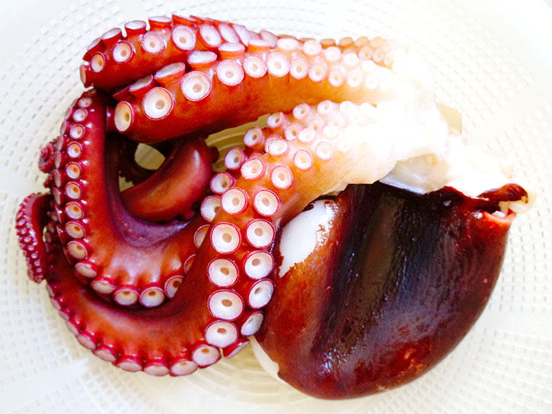 世界の中で日本が消費量１位 腕が８本ある 海の賢者 のお話し 西条の有名飲食店 店長が論じます 東広島デジタル 東広島での生活をより豊かに より楽しくする地域情報サイト