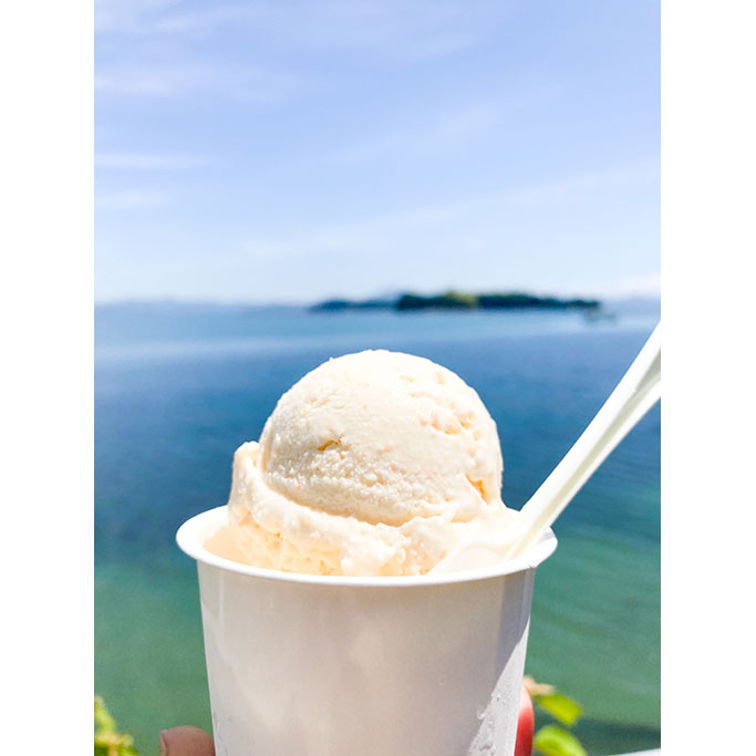 スタッフ実食 地産地消ja芸南ふれあい市 の手作りジェラート食べてみた 東広島デジタル 東広島での生活をより豊かに より楽しくする地域情報サイト