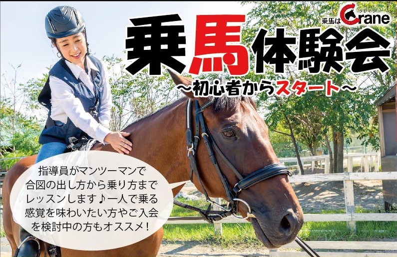 乗馬クラブ クレイン 運動不足も解消 自然の中で乗馬体験なんて癒しの極みですわ 東広島デジタル 東広島での生活をより豊かに より楽しくする地域情報サイト