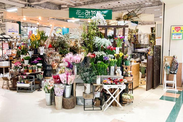 花のみやさこ 寒いとつぼみ 暖かいと開花 アネモネ は観察するのが楽しい 東広島デジタル 東広島での 生活をより豊かに より楽しくする地域情報サイト