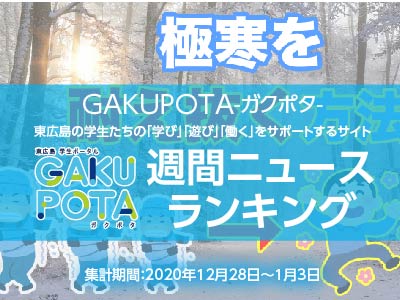 アクセスランキング-gakupota