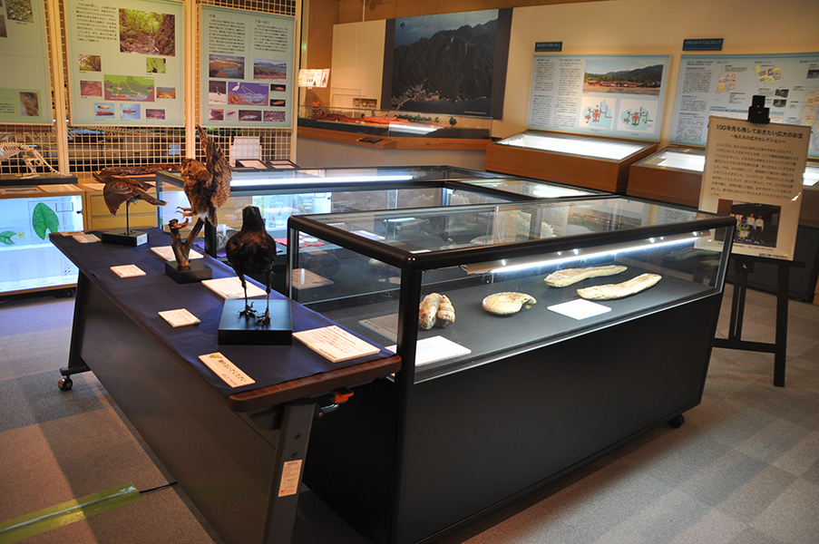 広大のお宝 中学生目線で展示 広島大学総合博物館 東広島デジタル 東広島での生活をより豊かに より楽しくする地域情報サイト