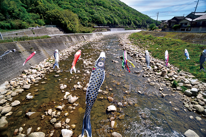 東広島市 下河内 ボランティアが こいのぼりの川渡り を設置 東広島デジタル 東広島での生活をより豊かに より楽しくする地域情報サイト
