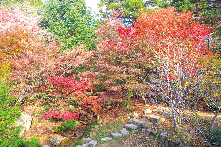 憩いの森公園