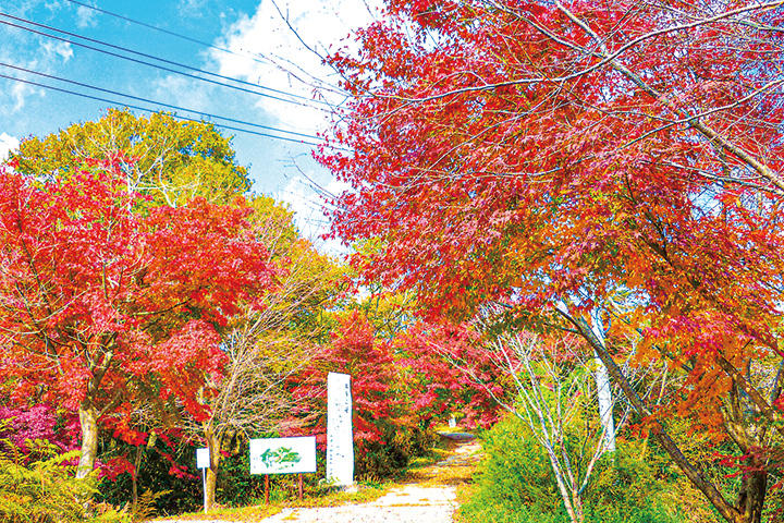 板鍋山なごみ園