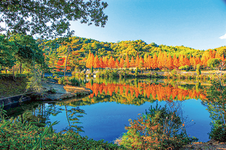 鏡山公園