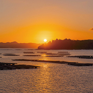 龍王島自然体験村 夕暮れ