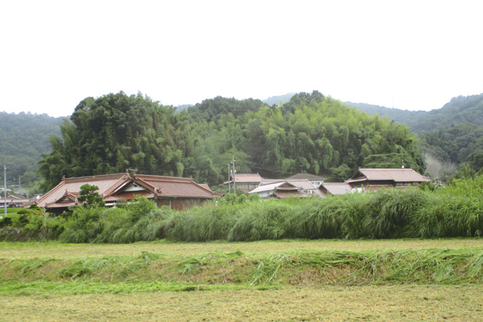 山城3＿御薗宇城跡