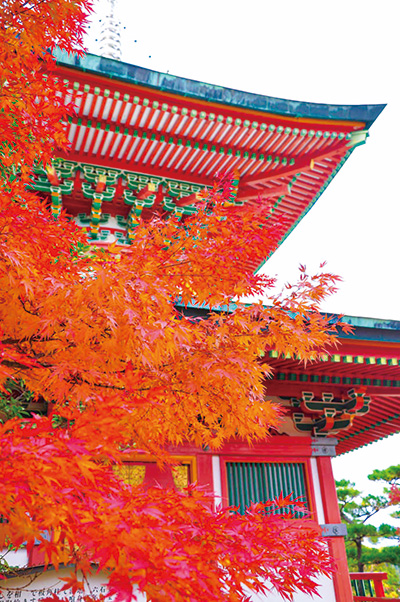 瀬戸田耕三寺