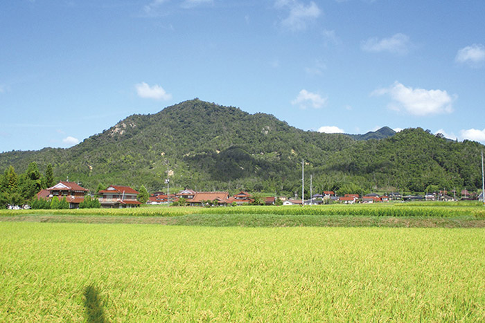 山城2＿槌山城跡