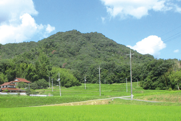 山城3＿頭崎城跡