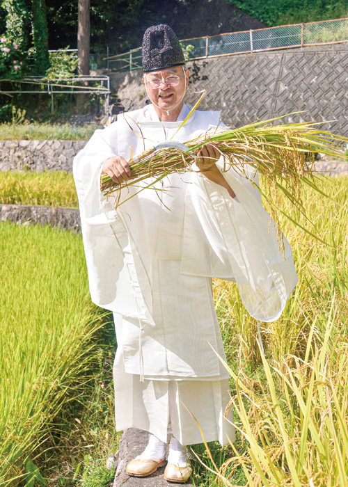 新米に感謝　抜穂祭