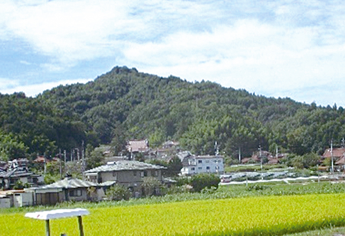 生城山城跡（東方より遠望）