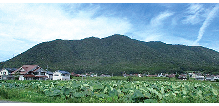 金明山城跡（西方より遠望）